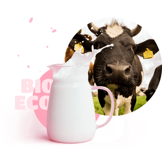 Cow and fresh milk